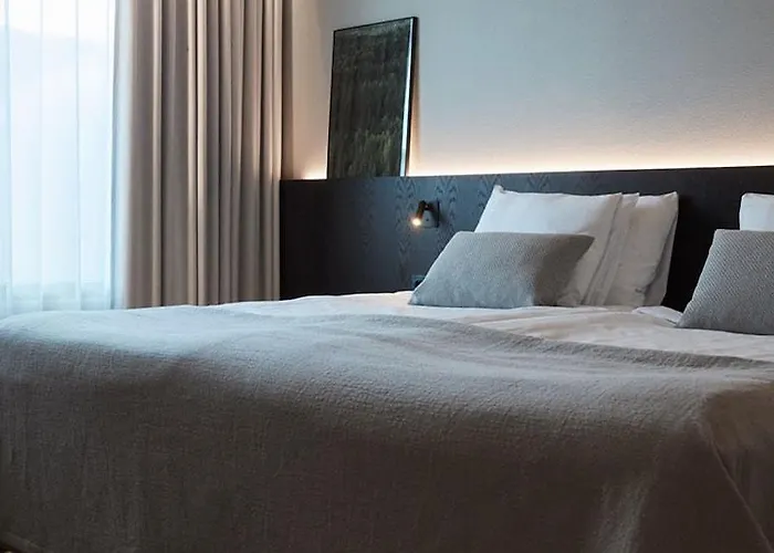 Solo Sokos Paviljonki Hotel 4*